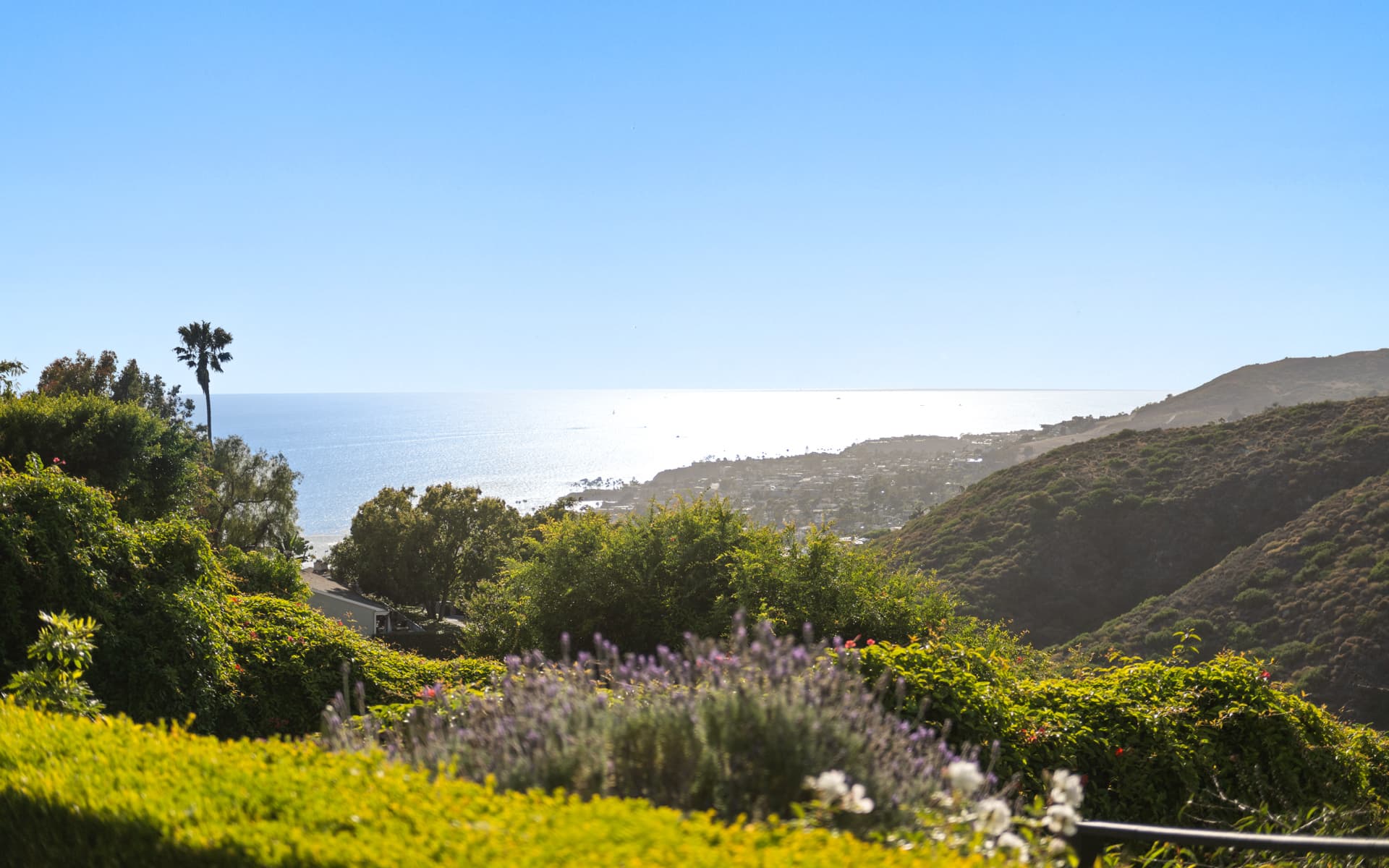 Ocean Panorama
